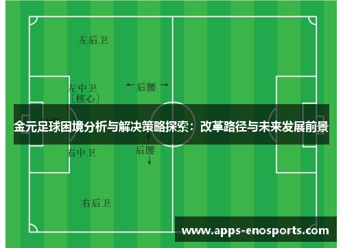 金元足球困境分析与解决策略探索：改革路径与未来发展前景