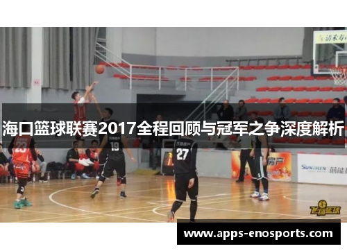 海口篮球联赛2017全程回顾与冠军之争深度解析
