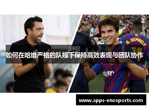 如何在哈维严格的队规下保持高效表现与团队协作