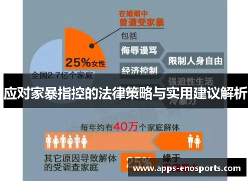 应对家暴指控的法律策略与实用建议解析