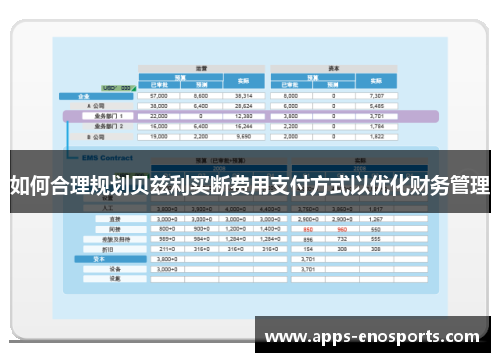 如何合理规划贝兹利买断费用支付方式以优化财务管理